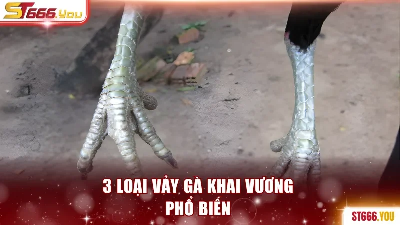 3 loại vảy gà Khai Vương phổ biến