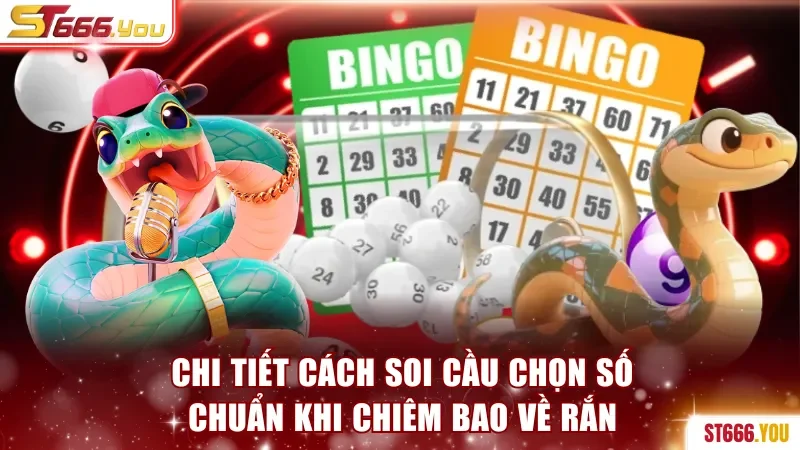 Chi tiết cách soi cầu chọn số chuẩn khi chiêm bao về rắn