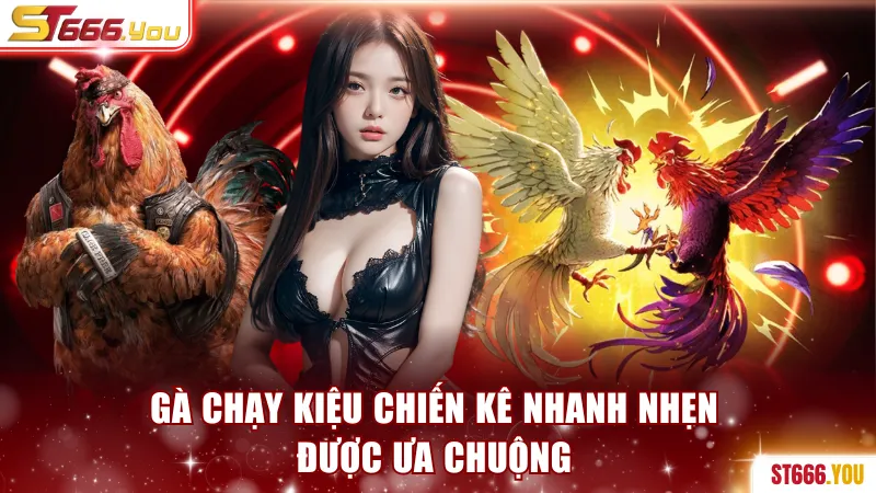 Gà chạy kiệu chiến kê nhanh nhẹn được ưa chuộng
