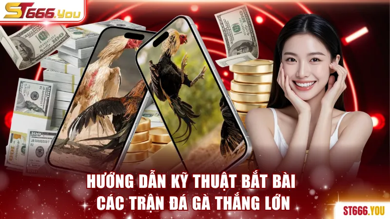Hướng dẫn kỹ thuật bắt bài các trận đá gà thắng lớn