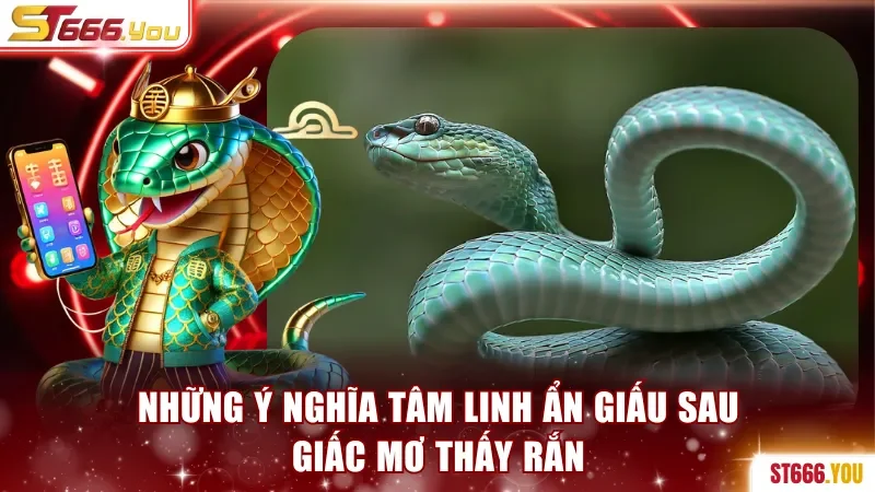 Những ý nghĩa tâm linh ẩn giấu sau giấc mơ thấy rắn