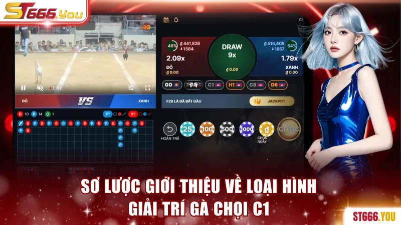 Sơ lược giới thiệu về loại hình giải trí gà chọi C1