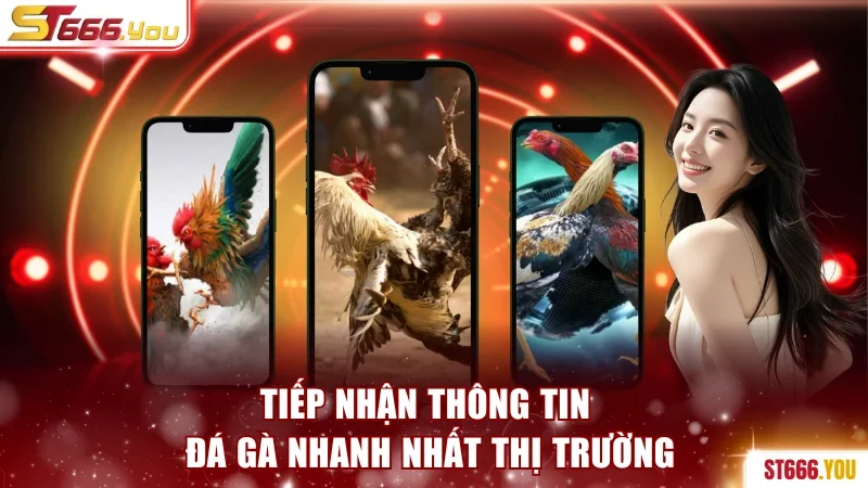 Tiếp nhận thông tin đá gà nhanh nhất thị trường